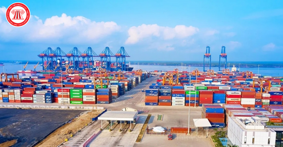 Quy định các trường hợp hàng hóa có xuất xứ thuần túy Việt Nam theo Nghị định 384/2026/NĐ-CP như thế nào?